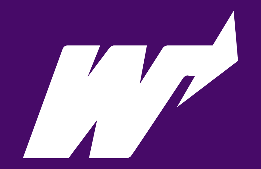Weber State Wildcats 1973-1996 Helmet Logo diy iron on heat transfer
